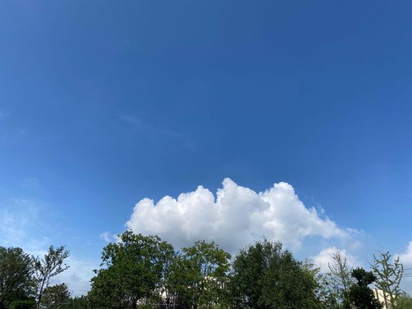 6c2911182aa799ff8cb46417e901859a_132185